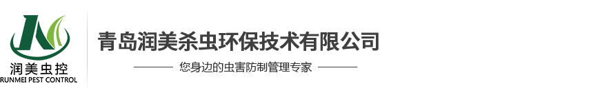 青島（dǎo）殺（shā）蟲公司|青島消殺公司|青島病媒生物防製|青島（dǎo）滅鼠公司|青島滅蟑螂（láng）公（gōng）司|青島滅白蟻公司|青島www.17c.com 起草殺蟲環保技術有限（xiàn）公司