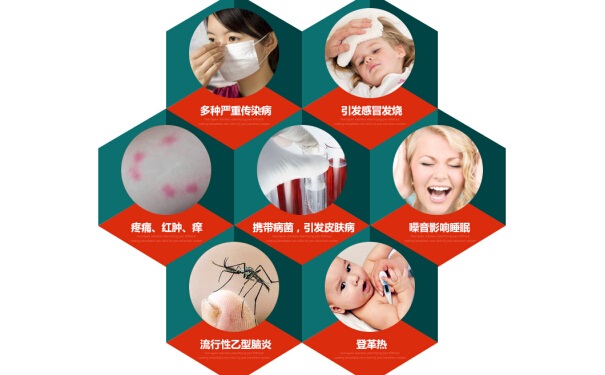 揭秘蚊子對誰“情有獨鍾”,什麽血型**招蚊子(zǐ)?