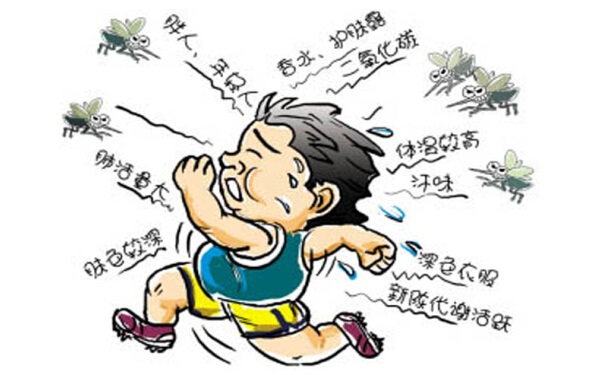 揭(jiē)秘蚊子對誰“情有獨鍾”,什麽血型**招蚊子?